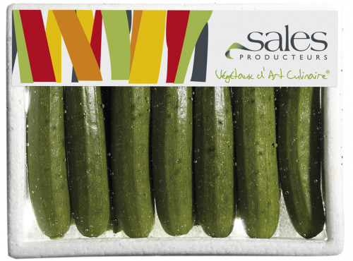 Maison Sales - Végétaux d'Art Culinaire - 11- Mini Courgette - 13 Pièces Minimum