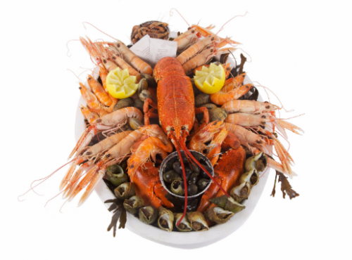 Luximer - Plateau de Fruits de Mer frais Le Royal de Bretagne - 2 Personnes