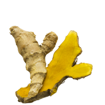 Epices Max Daumin - Curcuma Bio