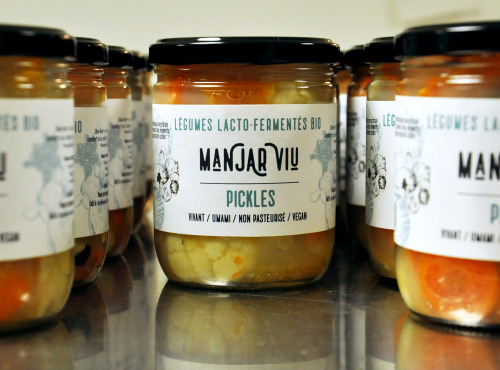 Manjar Viu : Légumes lacto fermentés - Pickles lacto fermentés 420g