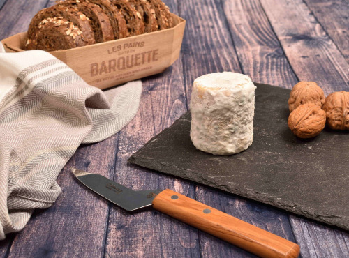 Fromage Gourmet - Chèvre de la Saône et Loire Fermier pur Chèvre