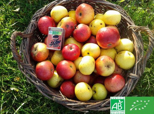 Les Jardins de Karine - POMMES "visitées"-en mélange-10kg