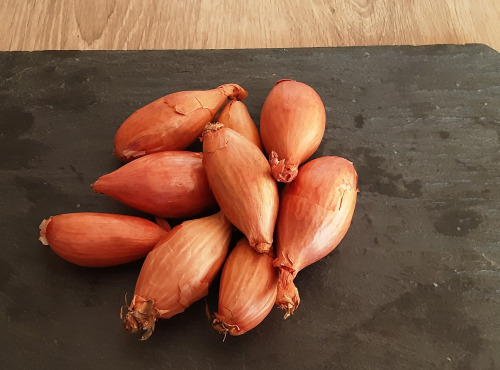 Gourmets de l'Ouest - Echalotes de Saint-malo