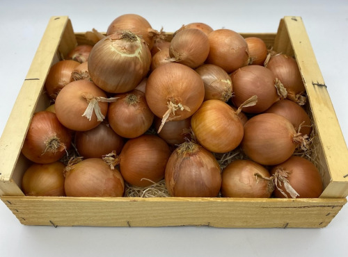 Le Panier du Producteur - Oignon "Paille" - 1kg