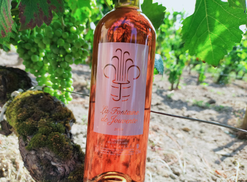 Château Jouvente - La Fontaine de Jouvente Rosé 2019 - 1 Bouteille