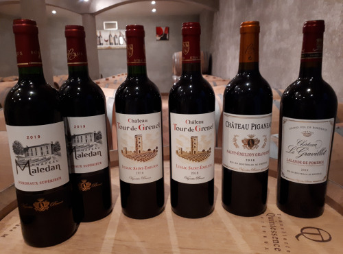 Vignobles Brunot - Lot Découverte : Vins Rouges de Bordeaux, dont Saint Emilion Grand Cru - 6x75cl