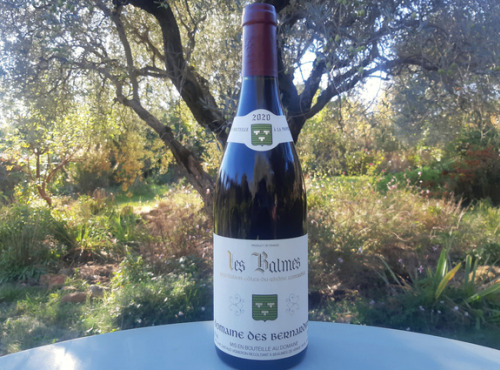 Domaine des Bernardins - Domaine des Bernardins - AOC Côtes du Rhône Rouge 2021 "les Balmes"