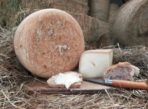 La ferme Lassalle - Fromage de Brebis AOP Ossau-Iraty Fermier de Printemps Demi-boule - 2,4kg