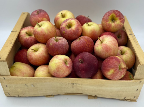 Le Panier du Producteur - Pommes "Gala"