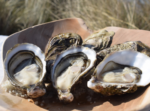 Huître de Normandie - Huîtres Spéciales No.2 Demoiselles D'agon© - 12 Pièces