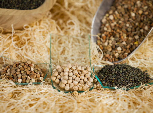 Du bio dans l'assiette - Lot Découverte Légumes Secs