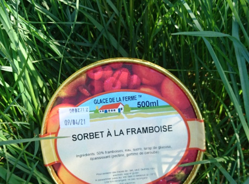 Les Glaces de la Promesse - Sorbet Framboise