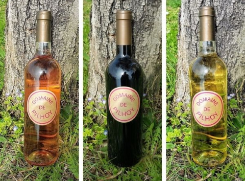 Domaine de Pilhoy - Offre 3 couleurs - Vin AOC Bordeaux x6