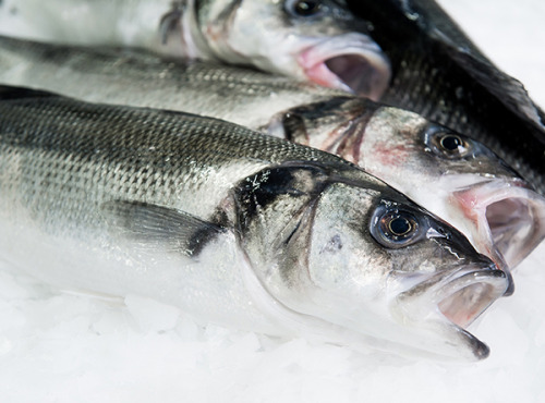 Ô'Poisson - Bar Sauvage - Pièce De 1kg/1,2kg - Vidé/ecaillé