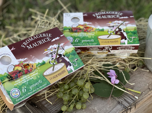 Fromagerie Maurice - Assortiment Yaourt aux aromes naturels x6