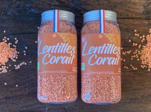 Les Graines de Louise - Lentilles Corail Biologique