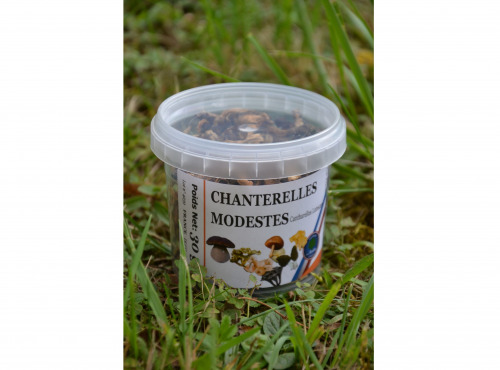 Trapon Champignons - Chanterelles Jaunissantes Sechées - 30 G