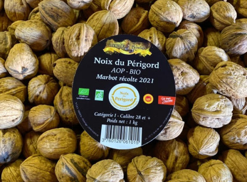 Ferme de Pleinefage - Noix du Périgord AOP BIO Variétés « FRANQUETTE OU MARBOT» Nouvelle Récolte 2022 - Filet de 1Kg