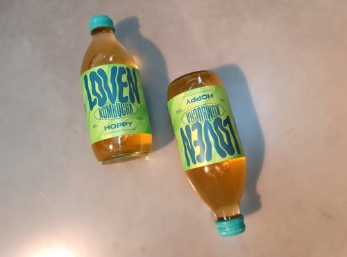 Brasserie L'Indispensable LOVEN Kombucha - Kombucha Hoppy (Houblons) - 6x33cl