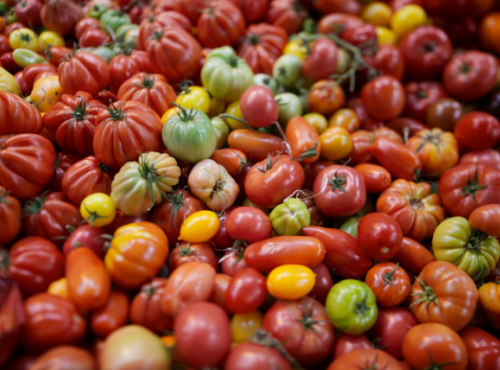 Pour de bon - Tomates Anciennes