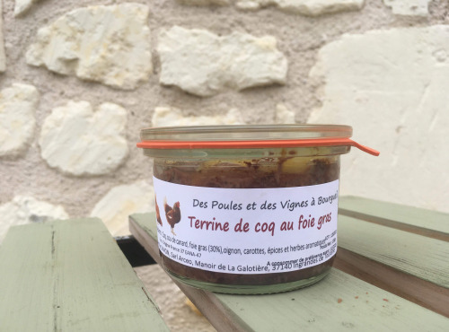 Des Poules et des Vignes à Bourgueil - Terrine De Coq Au Foie Gras