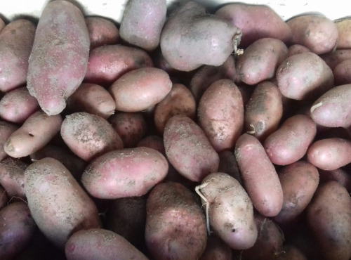 Multiproductions - Cédric Joliveau - Pomme De Terre Chérie 1kg