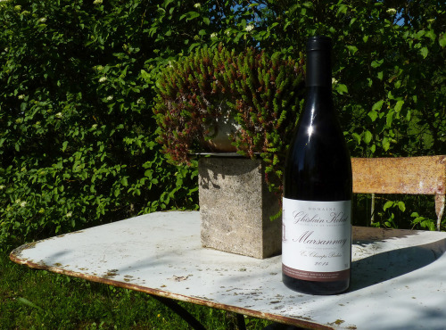 Domaine Ghislain Kohut - Lot 3 Bouteilles de Marsannay lieu-dit "Champs Perdrix" AOC