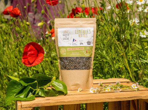 Sa Majesté la Graine - Lentilles Vertes Origine France - sachet 350 g