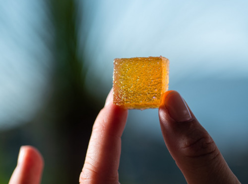 La Maison du Citron - Pâtes de fruits au Citron de Menton