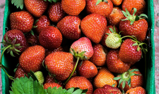 Fruits & Légumes