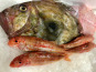 Godaille de l'Armement Cherbourgeois - En Direct du Bateau - Box des Gourmets - Poissons fins colis 3kg