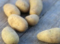Pourdebon - Produit Test
